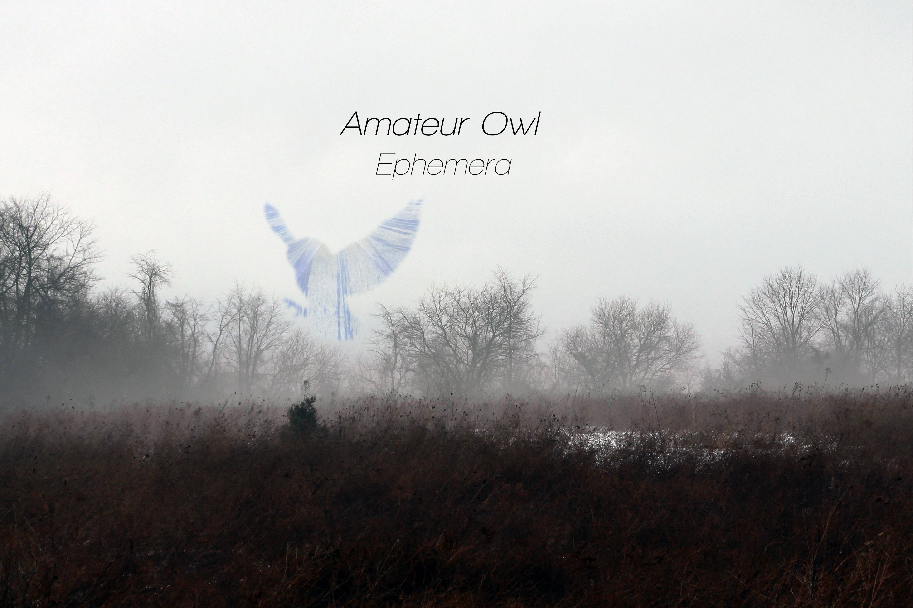 Amateur Owl - Ephemera (DIGITAL DOWNLOAD ONLY)